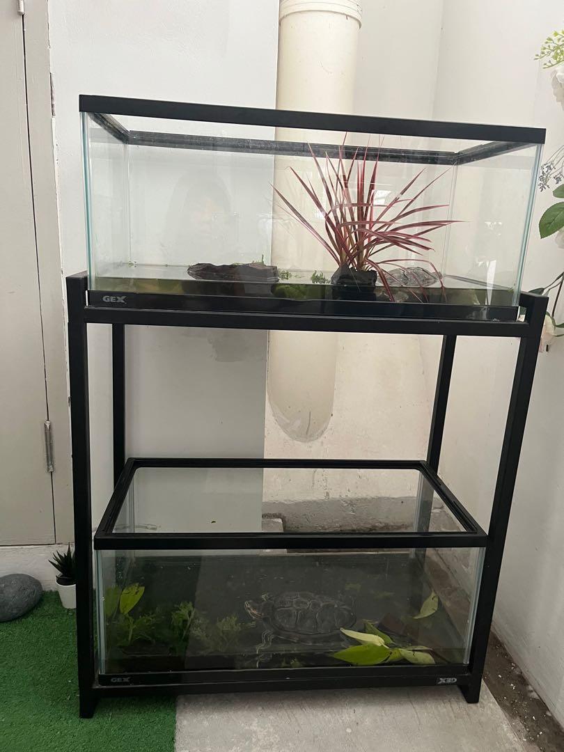 20 gallon fish tank 2025 for hamster