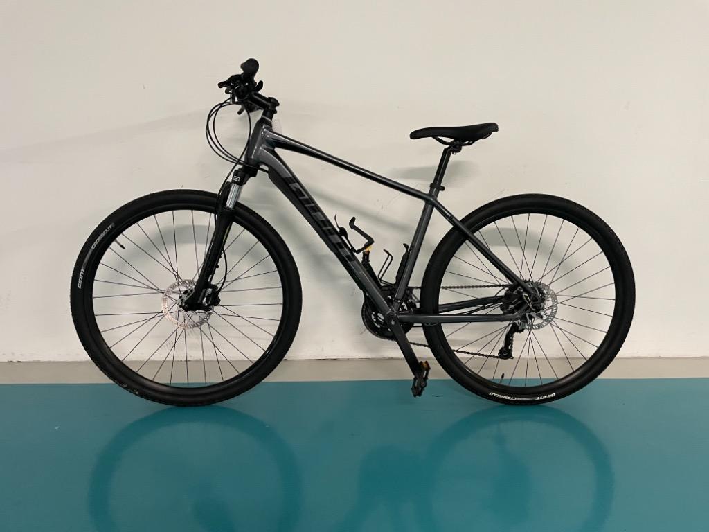 Roam 2 disc 2020 deals