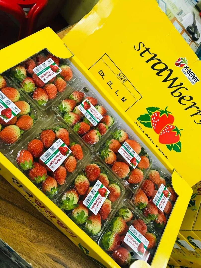 K-Berry Korean Strawberry, Food & Drinks, Fresh Produce on Carousell