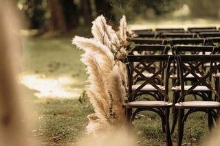Large Natural Pampas Grass