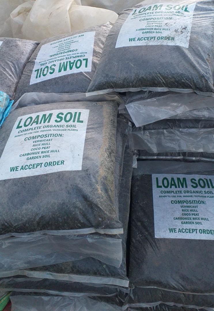 Loam Soil (Category: Soil & Fertilisers) located in Imus. Submitted by reghailiv09 (Listing ID 1145387629, Image 1). Description: For Sale! CULINARY HERBS & MEDICINAL PLANTS (50 each) Sweet Basil Holy Basil Thai Basil Thyme Italian Oregano Tarragon Cilantro (Wansoy) Dog Fennel Celery Parsley (Flat) Parsley (Curly) Lemon Balm Peppermint Lemon Mint Java Mint Chocomint Apple Mint Gotu Kola Stevia Dill Green tea Damong Maria Sawtooth Coriander Onion 
