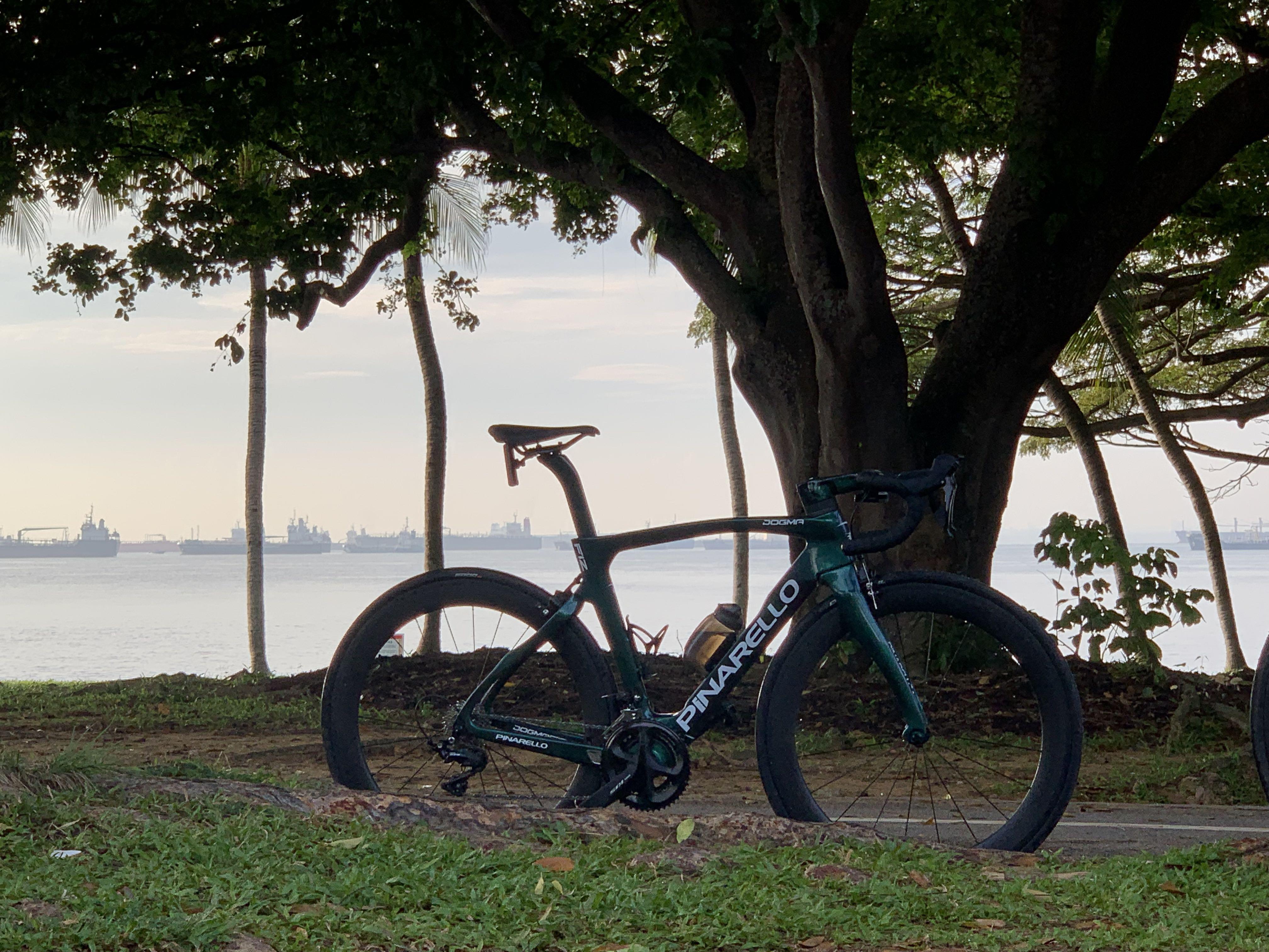 PINARELLO F12 (CHAMELEON), Sports 