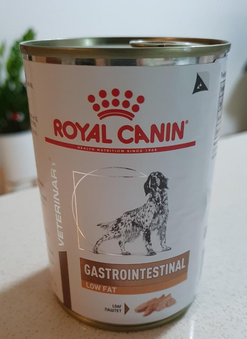 Royal canin gastrointestinal low fat canned cheap