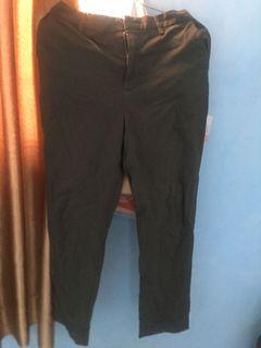 Ankle Pants Chino