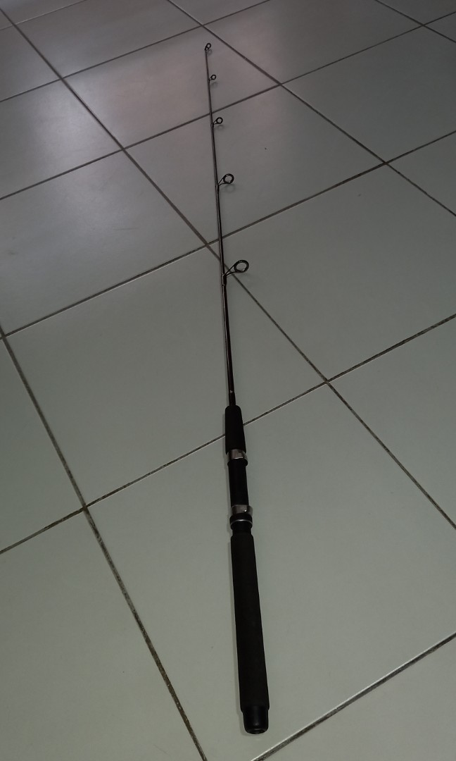 Tica Advantage one piece fishing rod, Sports Equipment, Fishing on