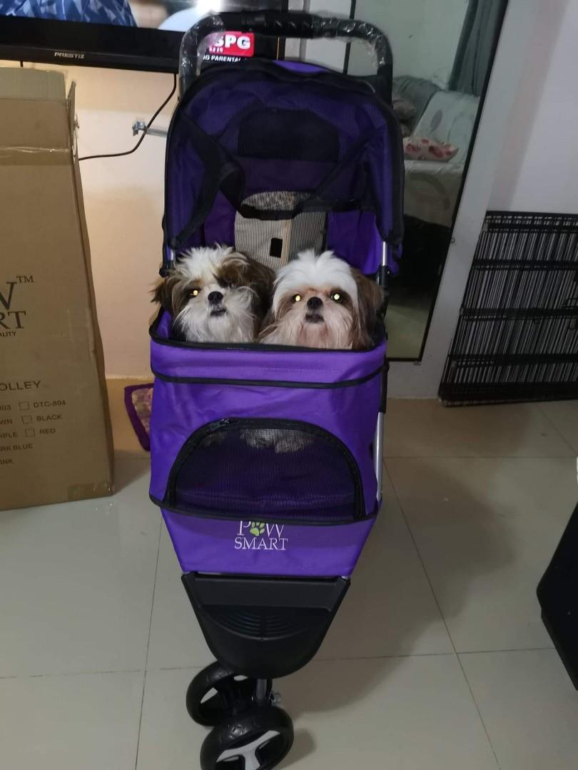 Preloved Pet Stroller Pet Supplies Homes Other Pet Accessories on Carousell