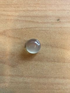 (Category: ) located in . Submitted by naturalforest (Listing ID 1145525388, Image 1). Description: .