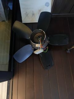 (Category: ) located in . Submitted by adlm2a (Listing ID 1145523751, Image 1). Description: .