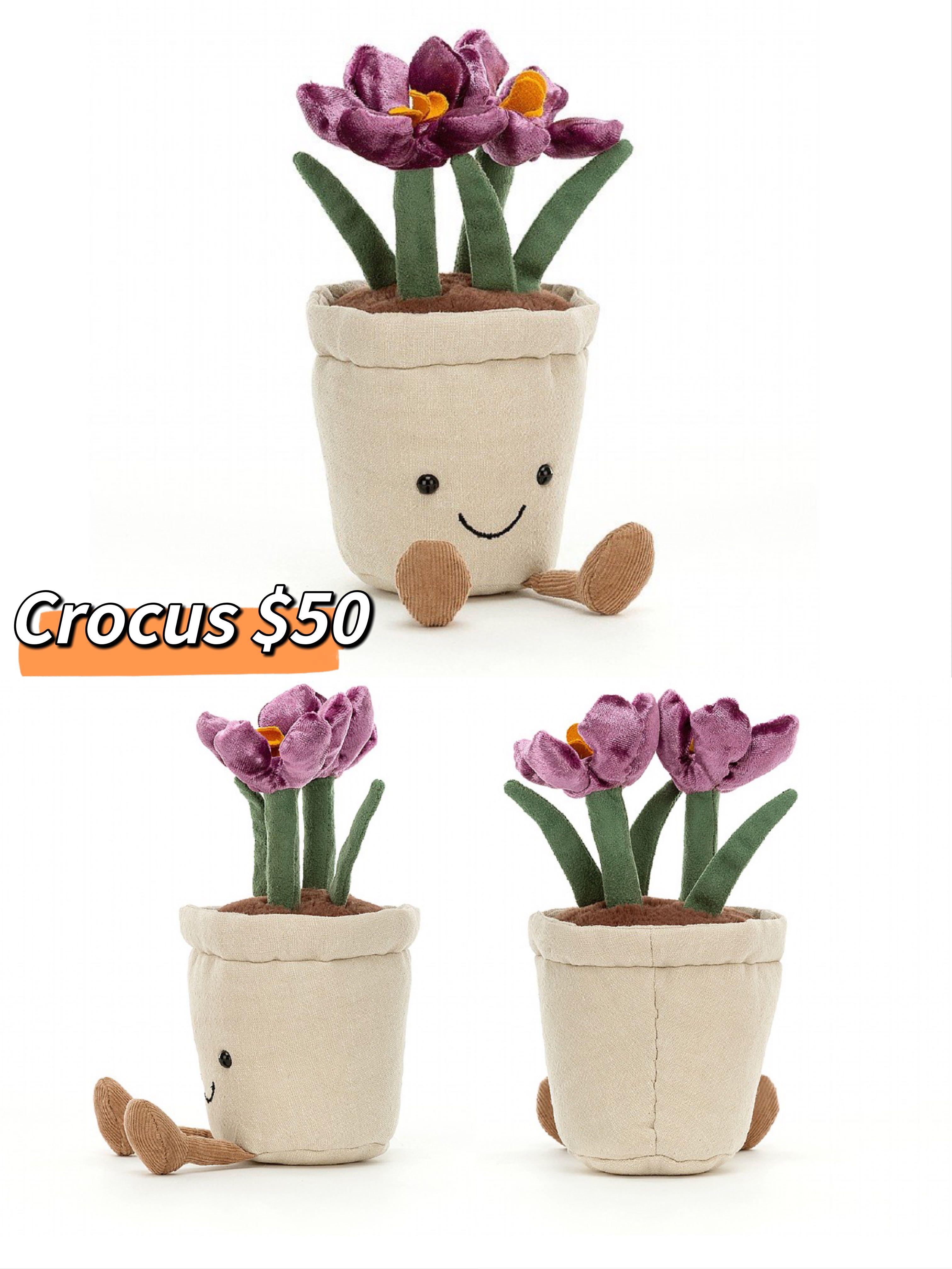 Jellycat Amuseable Cream Orchid, Silly Succulent, Tulip, Bluebell