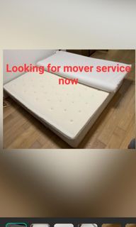 (Category: ) located in . Submitted by greenhortstar (Listing ID 1145593973, Image 1). Description: .