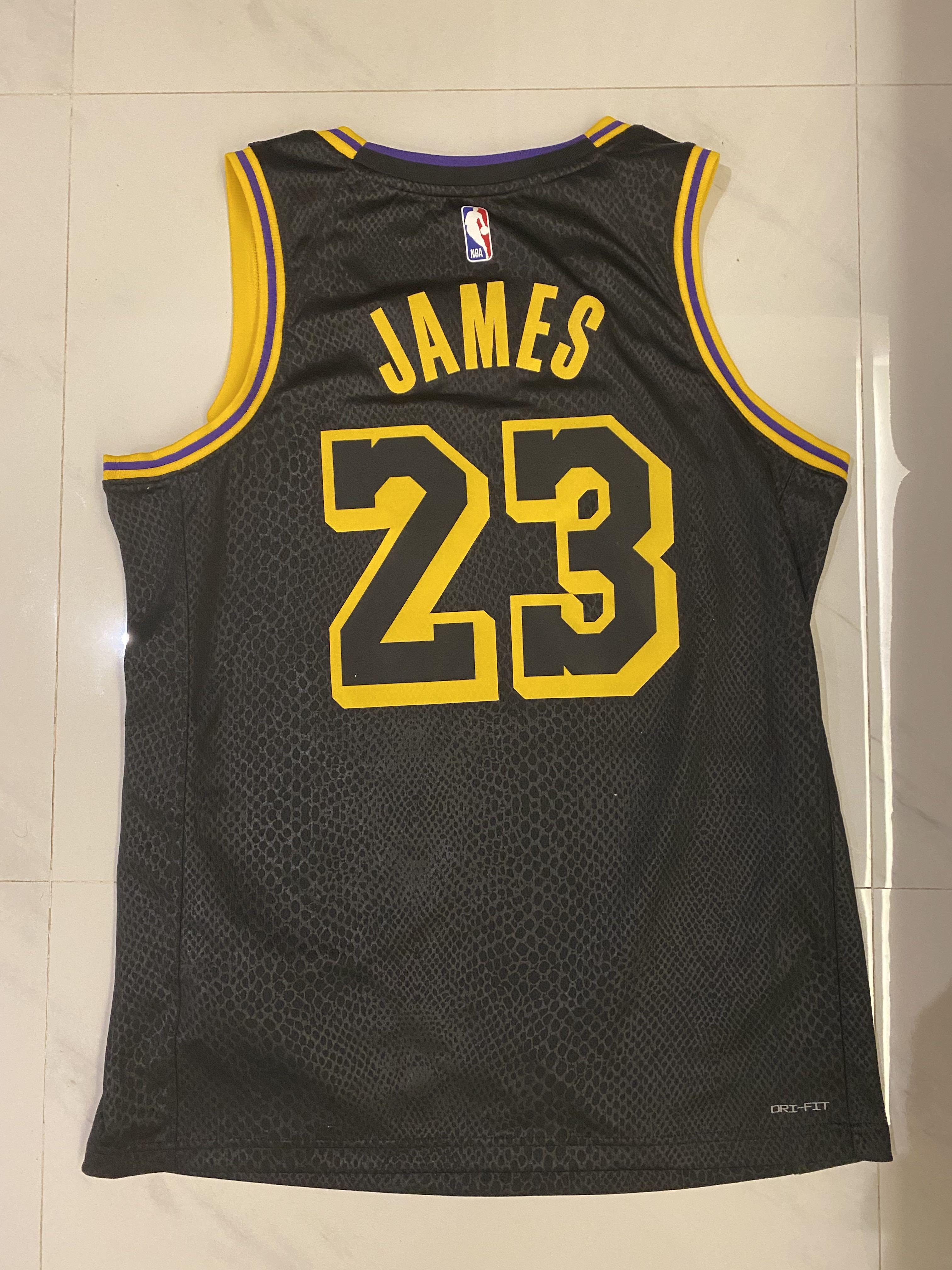 Nike LeBron James Lakers Jersey-Mamba Edition, Men's Fashion, Activewear on  Carousell