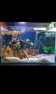 (Category: ) located in . Submitted by jtanway (Listing ID 1145653762, Image 1). Description: .