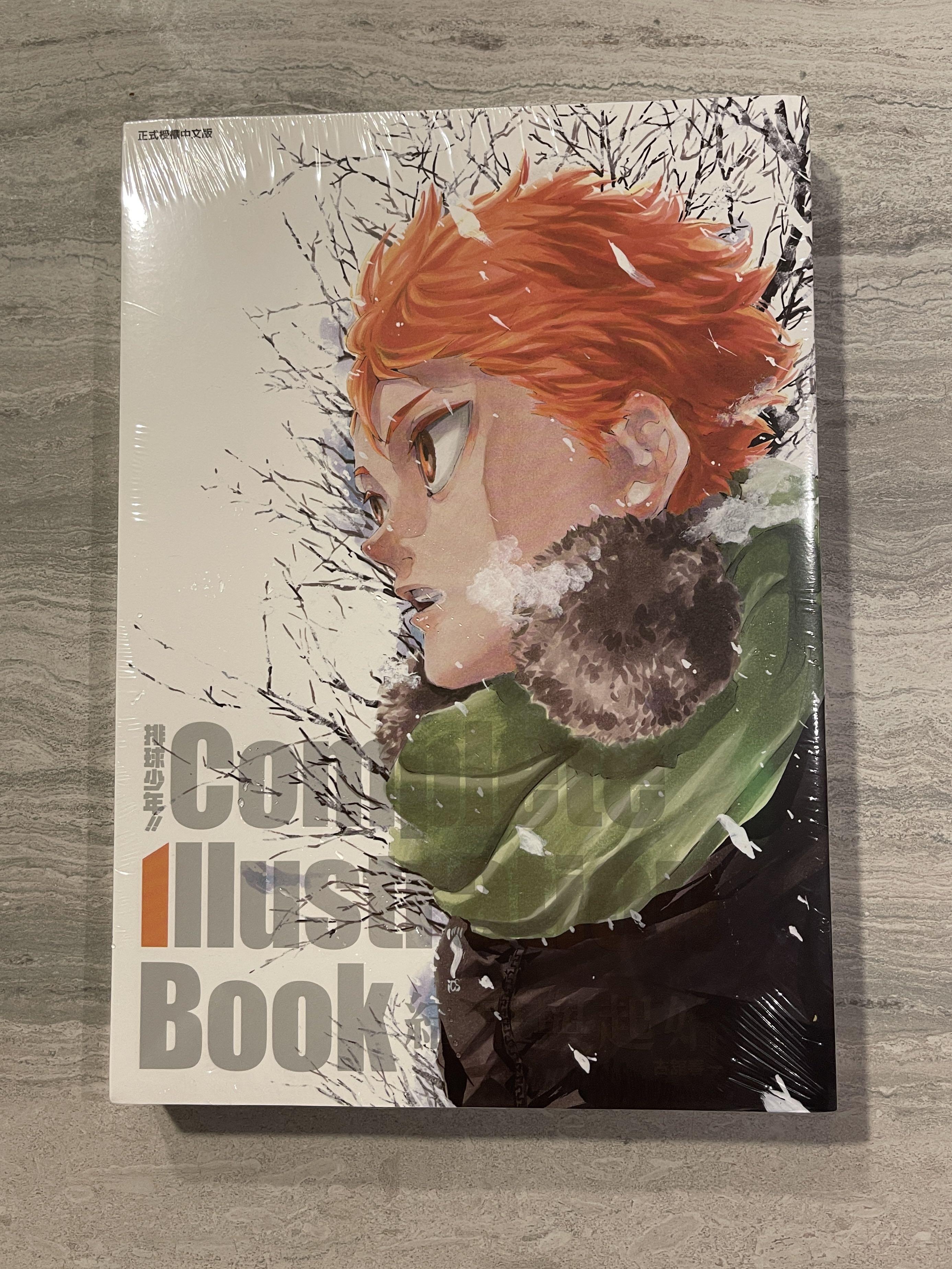 ハイキュー!! Complete Illustration book 終わりと… - その他