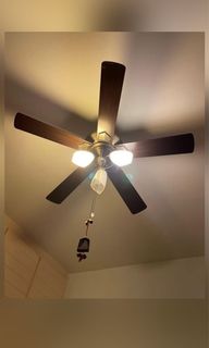 (Category: ) located in . Submitted by seohly (Listing ID 1145699683, Image 1). Description: .