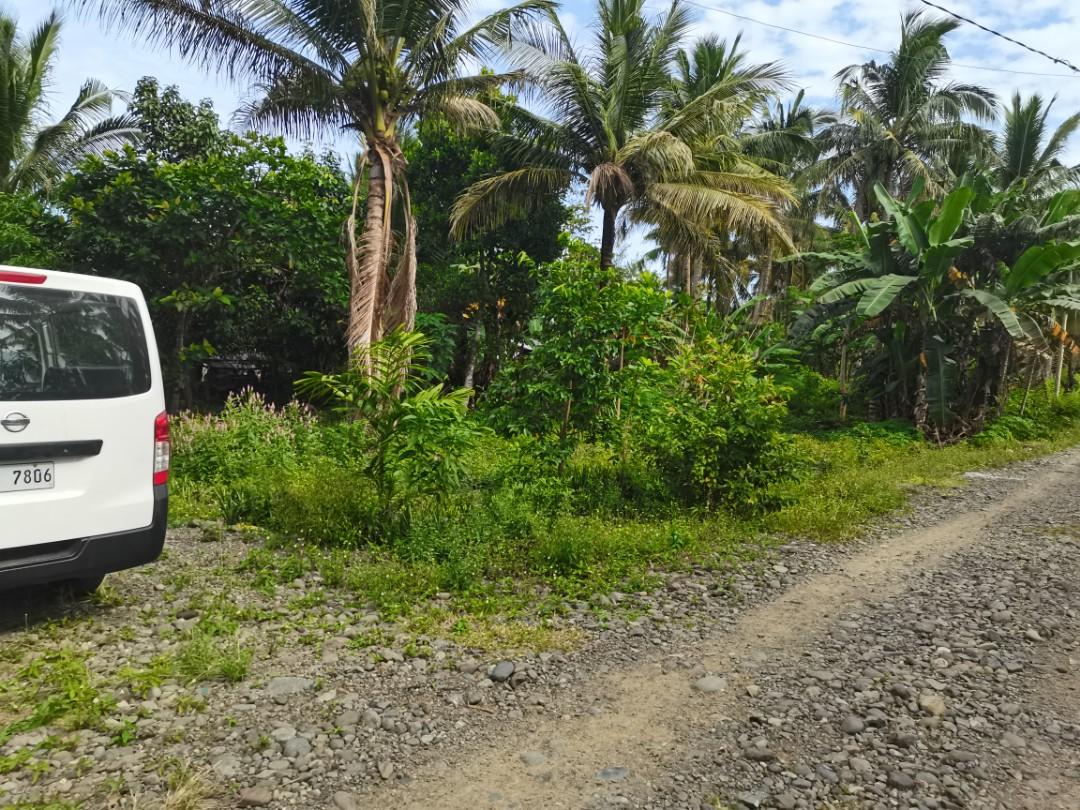 INFANTA QUEZON TITLED FARM LOT WITH ACCESS TO BEACH AND BARRIO ROAD