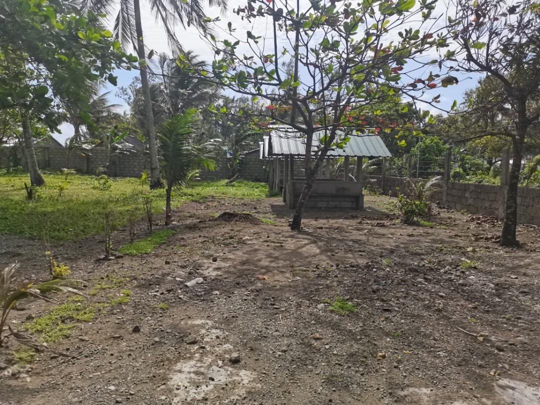 INFANTA QUEZON TITLED FARM LOT WITH ACCESS TO BEACH AND BARRIO ROAD