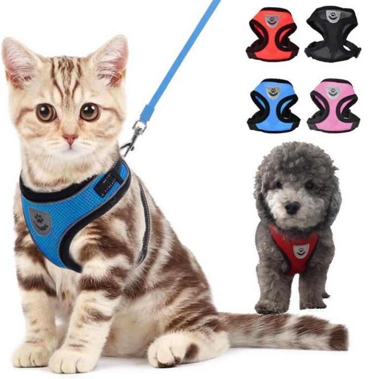 Cat Harness Step-in Breathable Walking Harness Vest for Small Dogs Chihuahua S M 