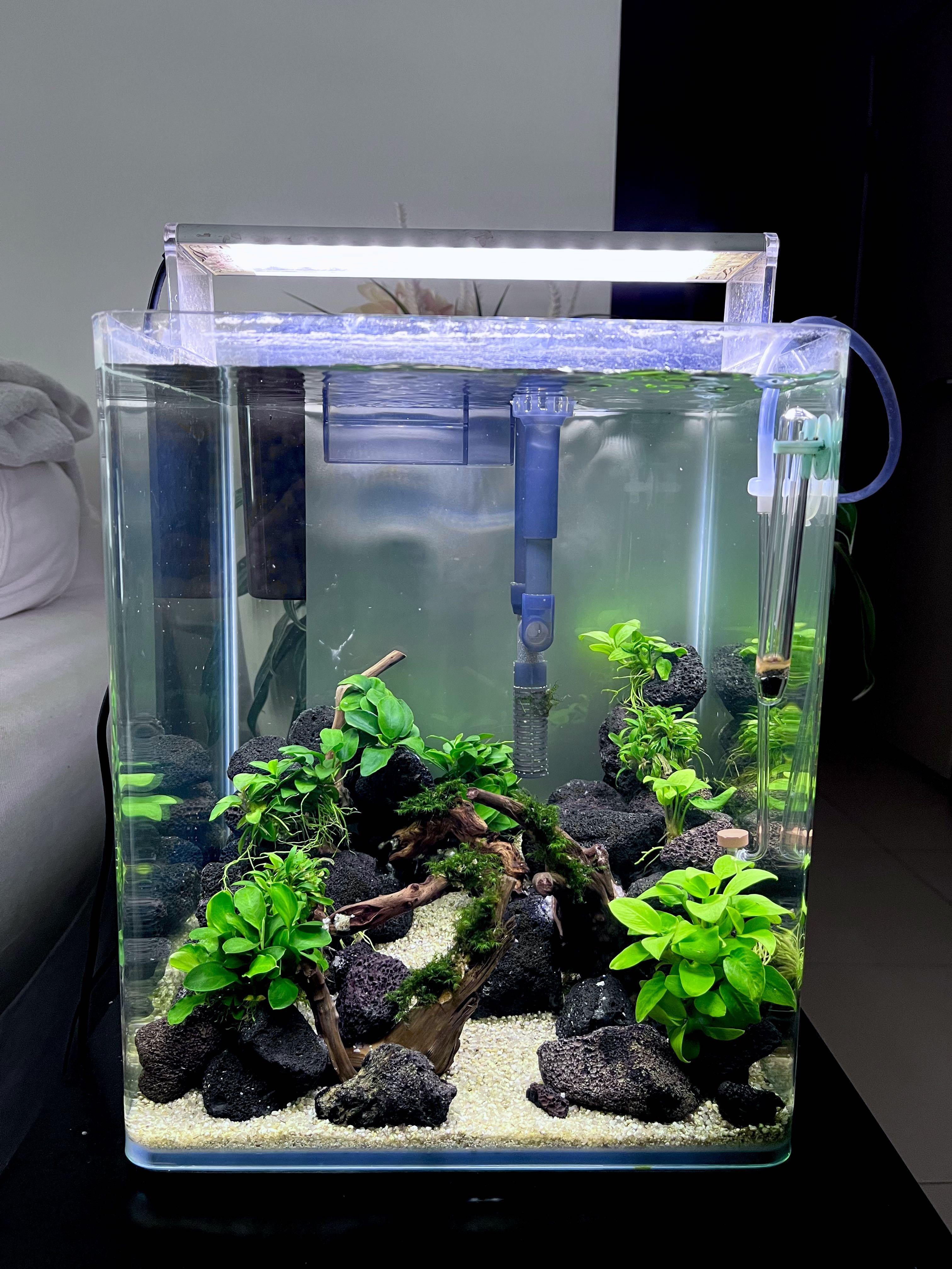 20l deals fish tank