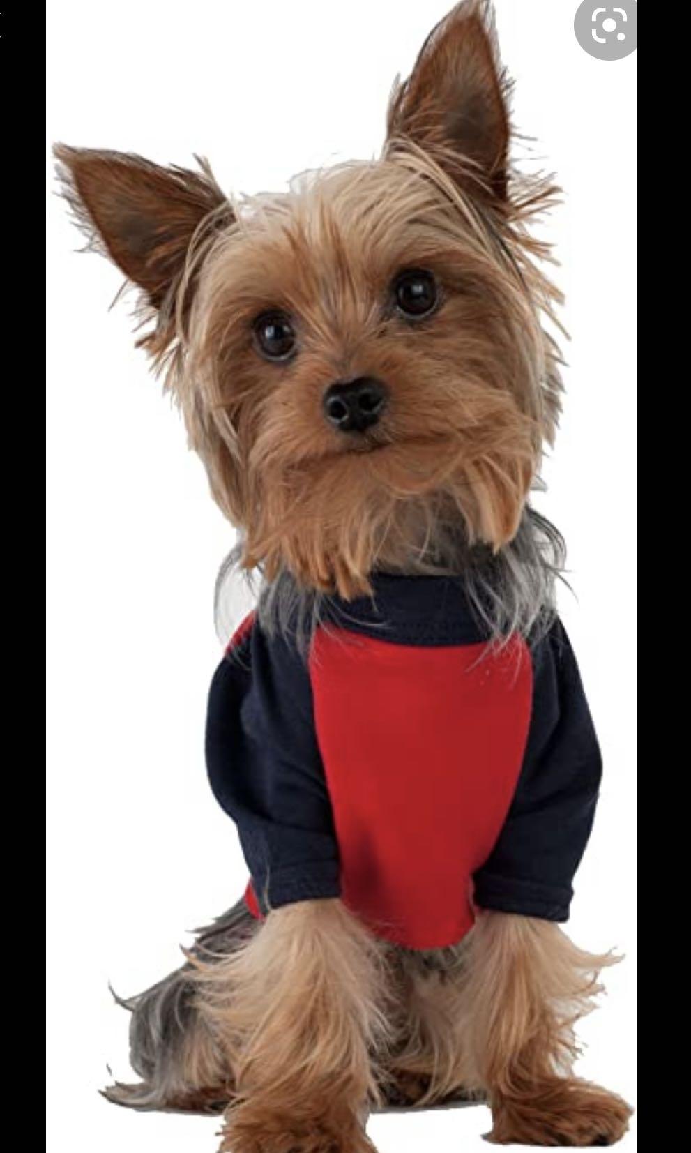 American apparel dog clothes online