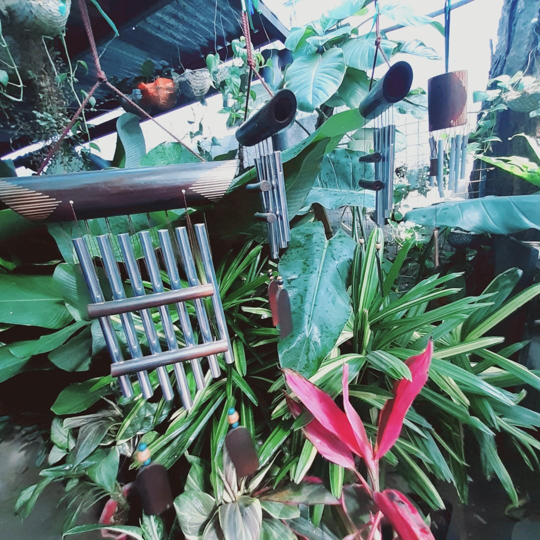 Plants soil stones (Category: Gardening Tools & Ornaments) located in Antipolo. Submitted by blueshopvintage (Listing ID 1145619668, Image 2). Description: loam soil /potting mix soil 90/pack garden stones 250 /10kls cow manure 50/kilo also available plants chimes.