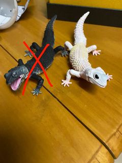 （分類：）位於 。 由 ruvik 提交（商品編號 1113031490，圖片 1）。簡介： 。