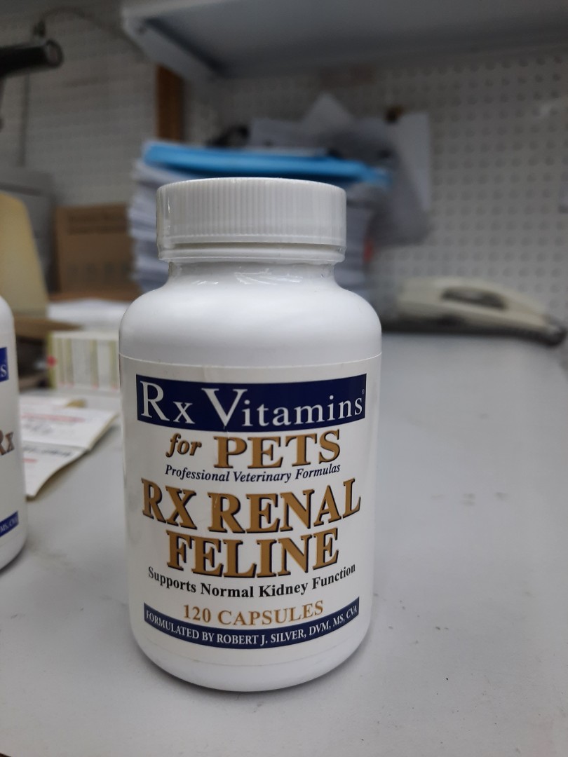 長期現貨rx vitamins rx renal Feline 120 pills 美國貓咪腎臟補充膠囊