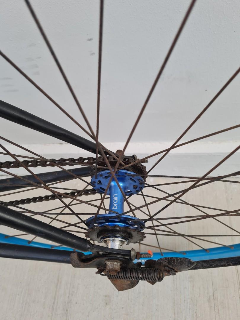 frame fixie brain