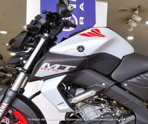 CFS303 The DARK SIDE OF JAPAN Yamaha MT15 MT25 swing arm 2 pcs