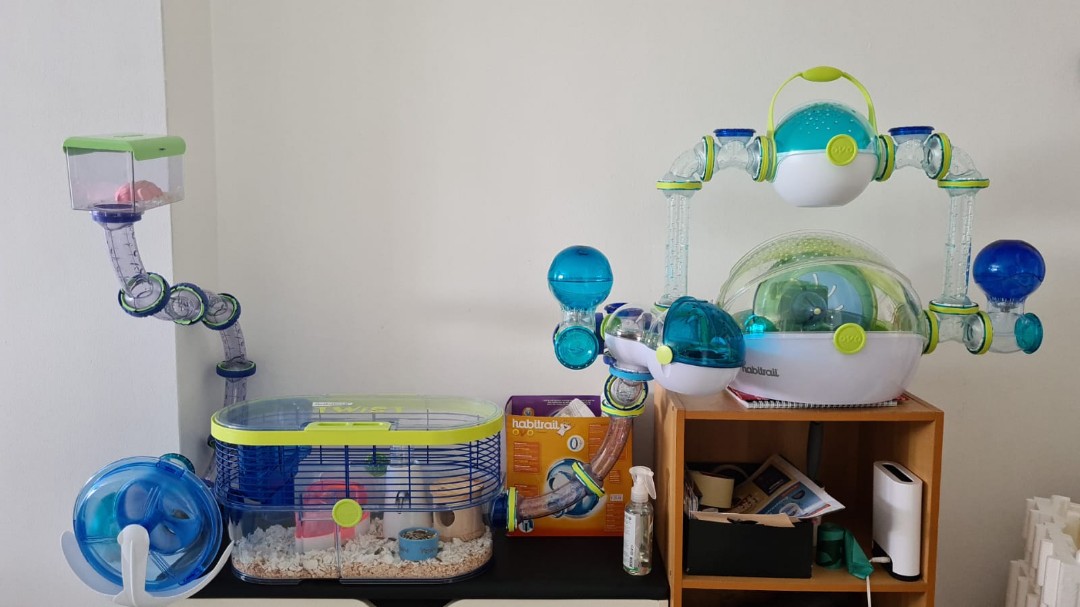 Habitrail setup sales