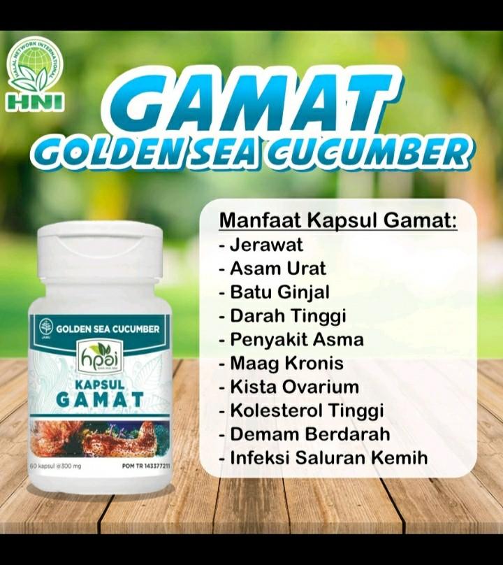 KAPSUL GAMAT OBAT NYERI SENDI HNI HPAI, Serba Serbi, Others ...