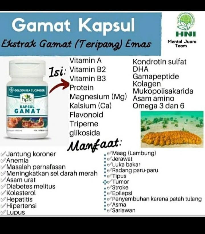 KAPSUL GAMAT OBAT NYERI SENDI HNI HPAI, Serba Serbi, Others ...