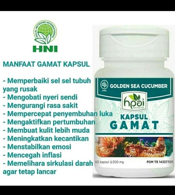 KAPSUL GAMAT OBAT NYERI SENDI HNI HPAI, Serba Serbi, Others ...