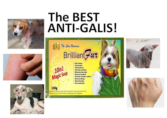 Anti mange soap new arrivals