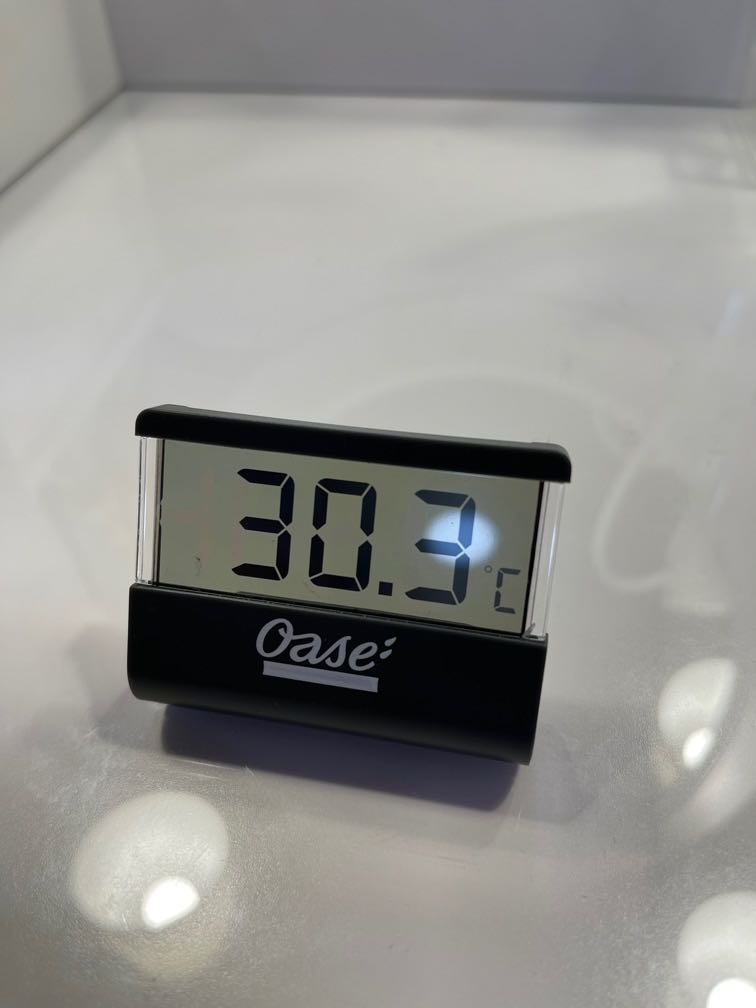 OASE Digital Thermometer