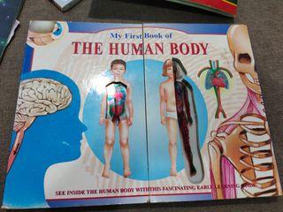 The Human Body