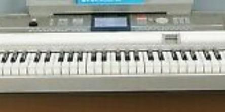 Yamaha dgx outlet 505 original price