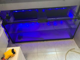 (Category: ) located in . Submitted by flickme (Listing ID 1146144117, Image 1). Description: .
