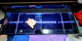 (Category: ) located in . Submitted by fishjoe (Listing ID 1146100498, Image 1). Description: .