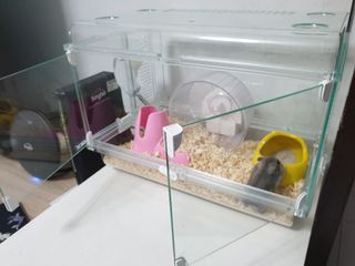 (Category: ) located in . Submitted by zionn (Listing ID 1146118405, Image 1). Description: .