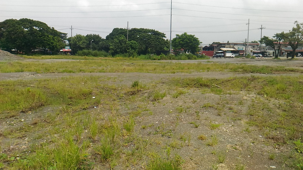 Lot for Sale along Governors Drive Trece Martires City Cavite, Property