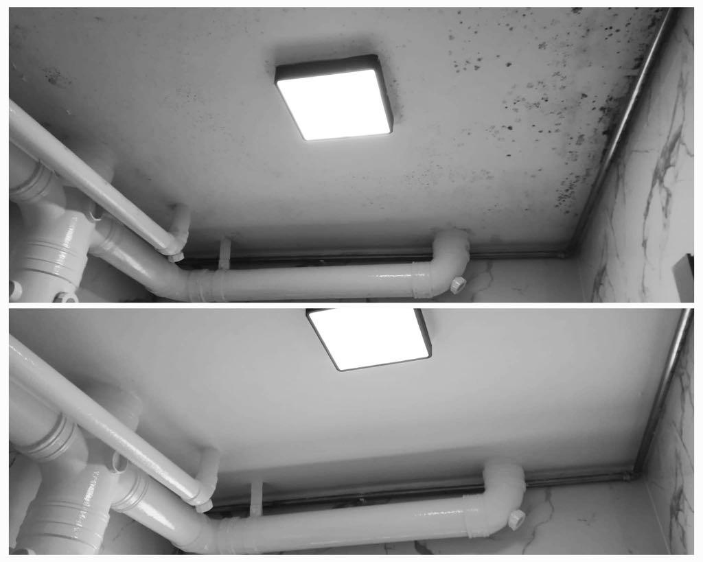 001 - MOULDY WALLS & CEILINGS TREATMENT - Anti-Mould Wall & Ceiling