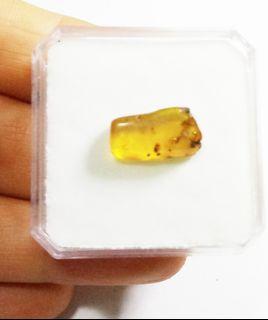 Authentic Natural Amber