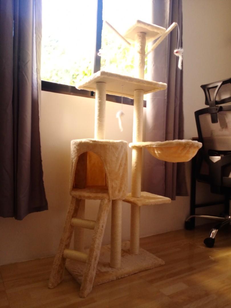 Cats tree house, Pet Supplies, Homes & Other Pet Accessories on Carousell
