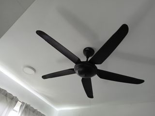 (Category: ) located in . Submitted by satha27 (Listing ID 1146229840, Image 1). Description: .