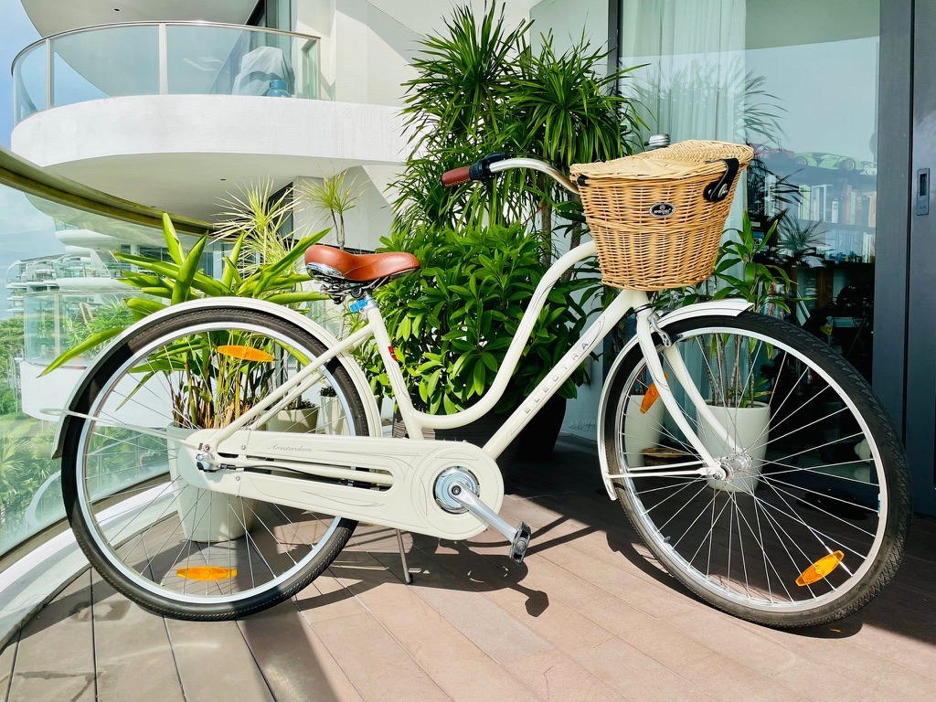 Holland cruiser bike sales