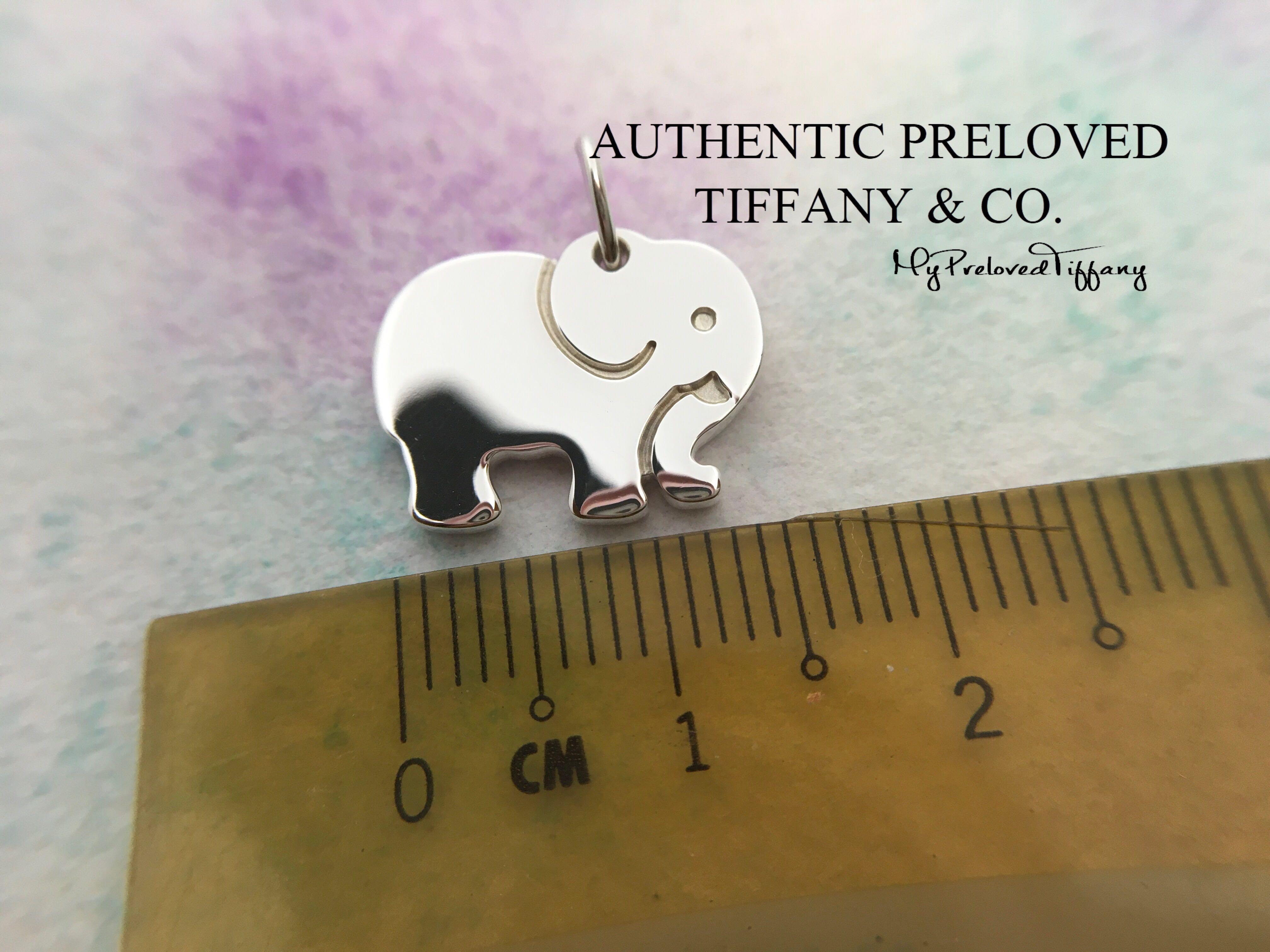 Elephant never top forgets charm