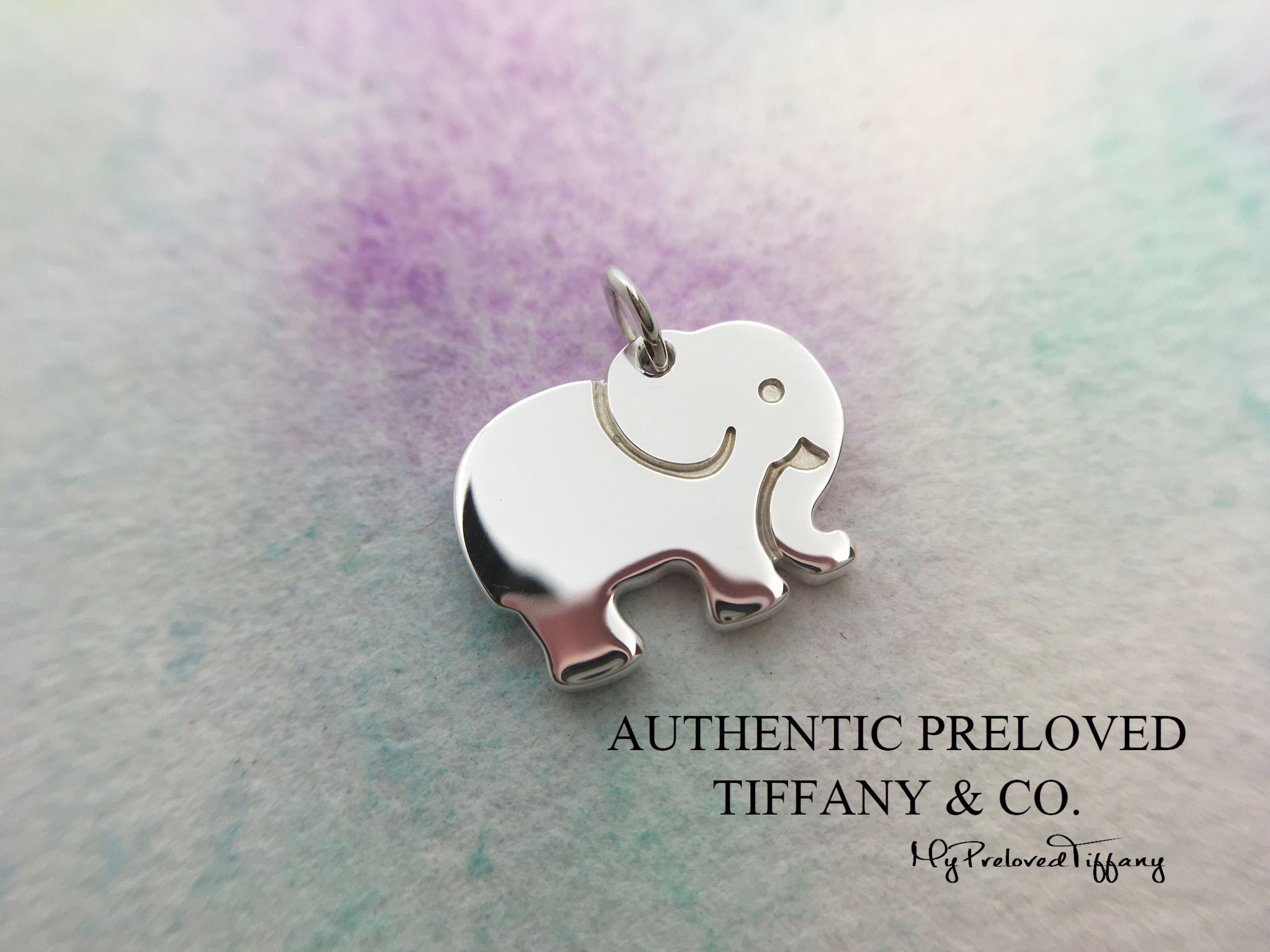 Elephant never forgets charm online