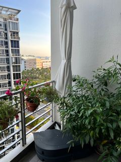 (Category: ) located in . Submitted by dharansh44 (Listing ID 1141333632, Image 1). Description: .