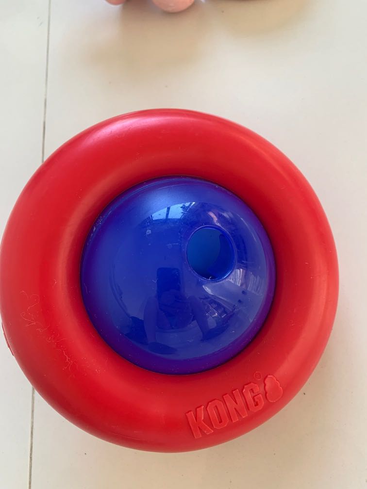 KONG Gyro Ball Dog Toy Size: Large