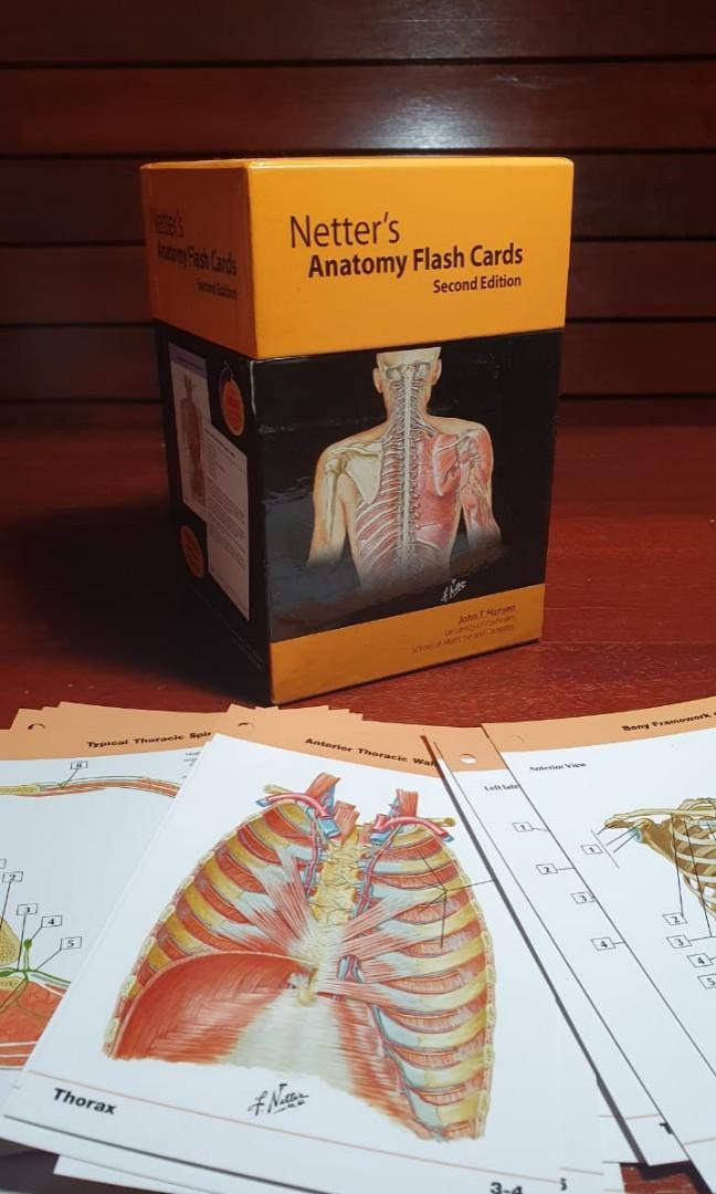 Netter's Anatomy Flash Cards 2nd Edition by Frank H. Netter Saunders